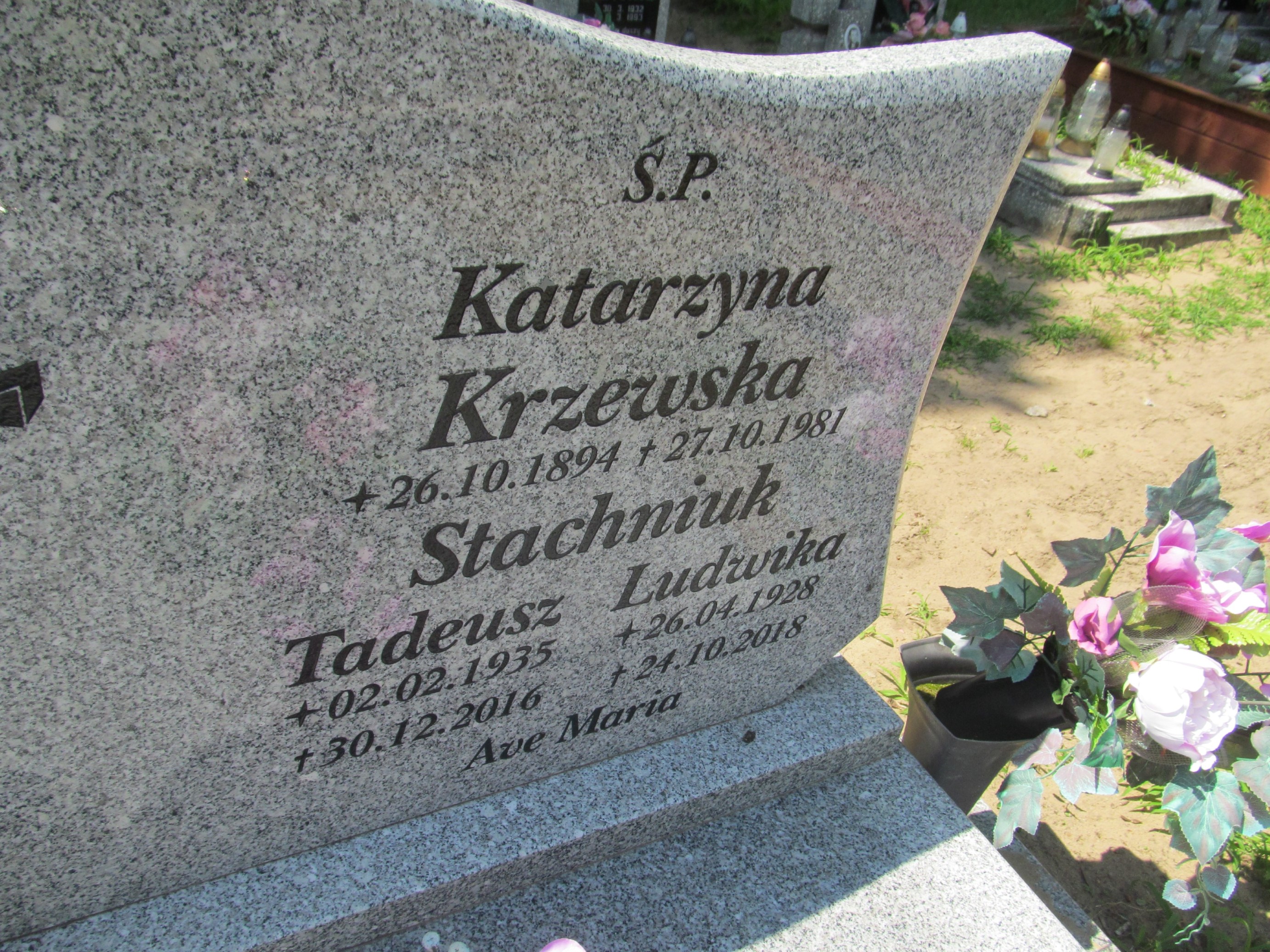 Tadeusz Stachniuk 1935 Bojadła - Grobonet - Wyszukiwarka osób pochowanych