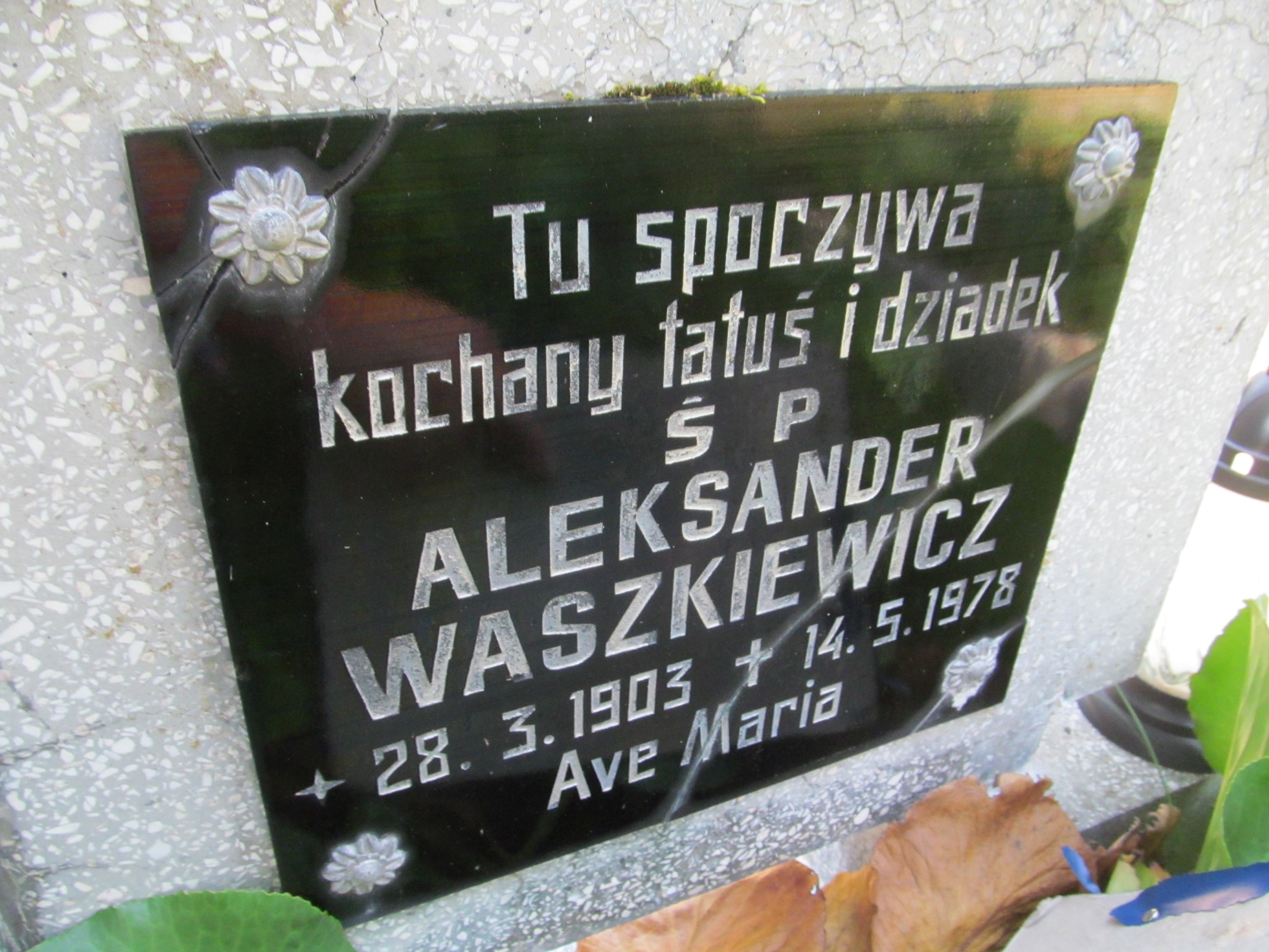 Aleksander Waszkiewicz 1903 Bojadła - Grobonet - Wyszukiwarka osób pochowanych